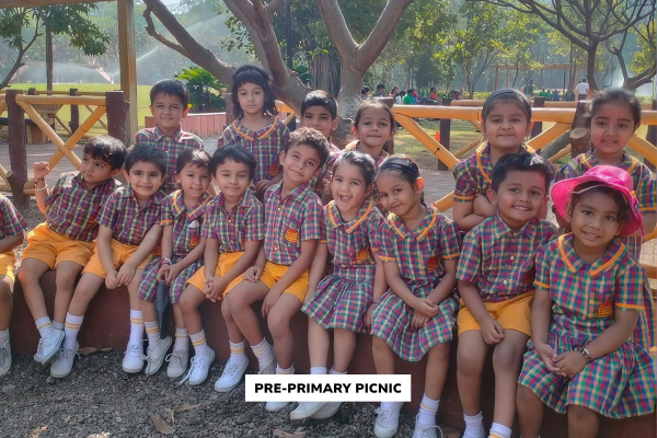 Caleum website picnic