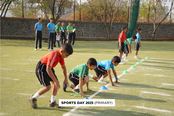 Caleum website sports day